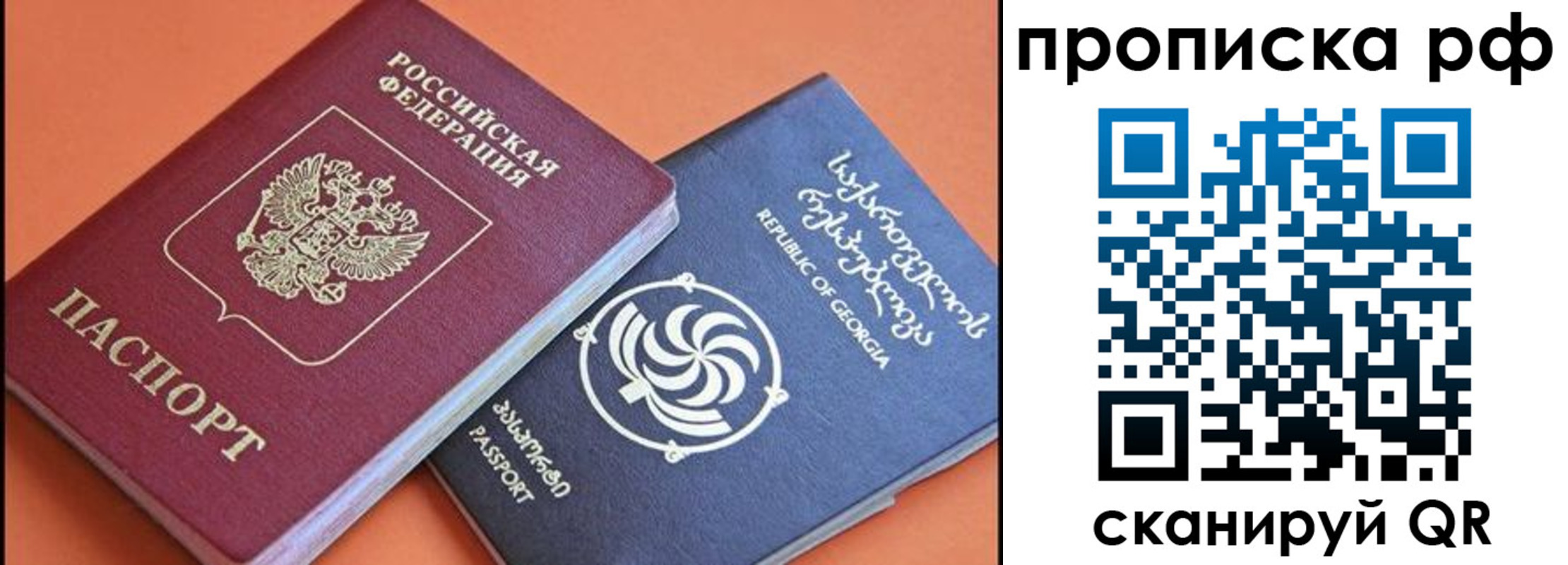 прописка поиск в Димитровграде